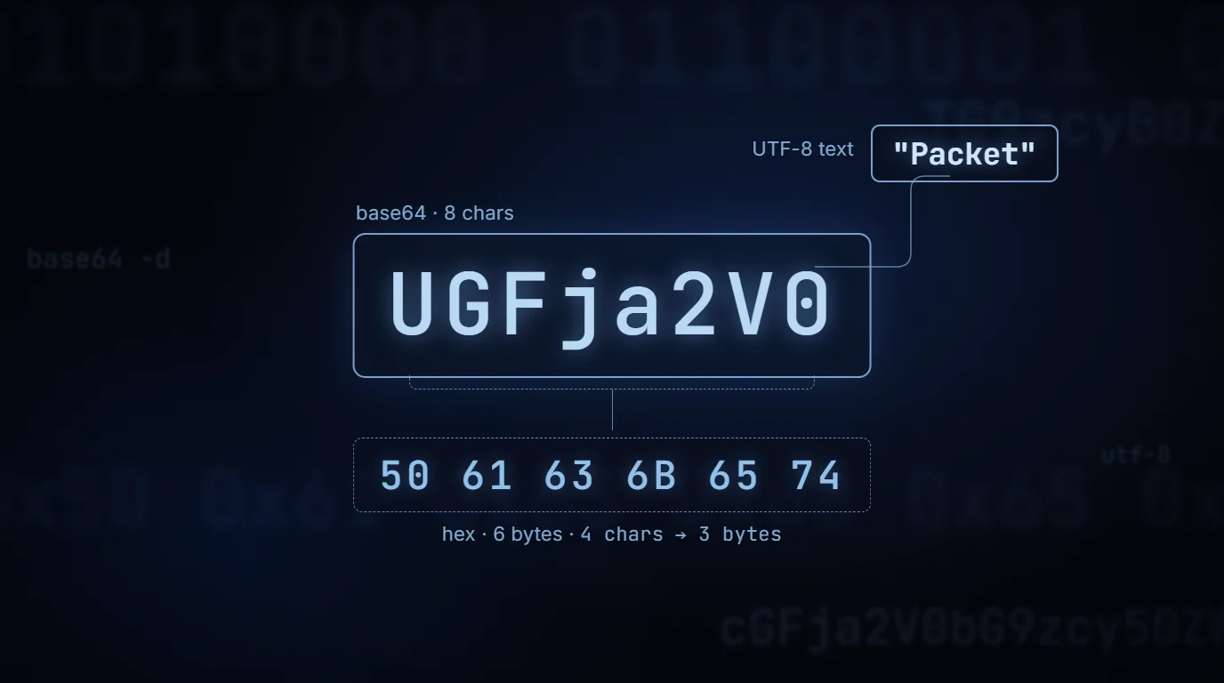 Base64, hex, and text converter — preview